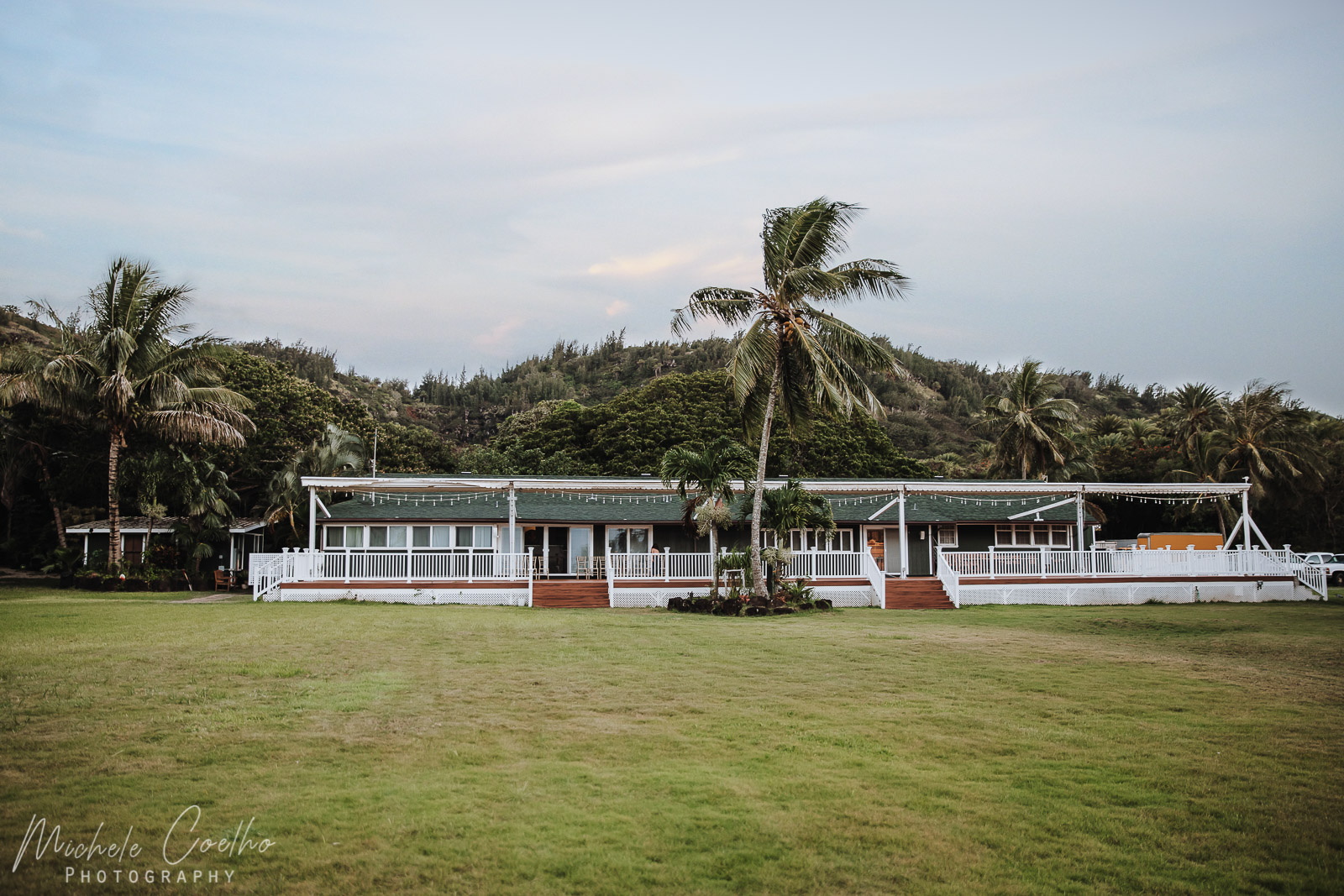 Loulu Palm